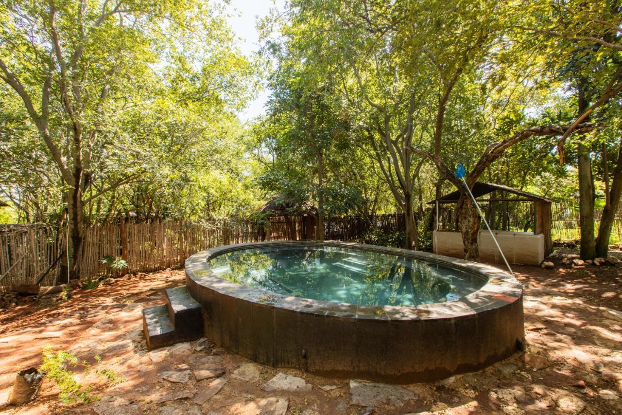 Resort Pecan Bush *